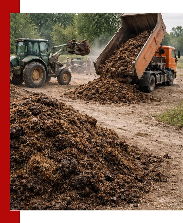 Доставка навоза самосвалами в Кстово для сельхозпотребностей